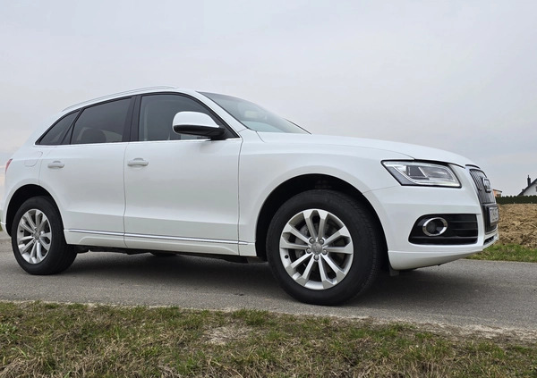 Audi Q5 cena 77800 przebieg: 125000, rok produkcji 2015 z Dzierzgoń małe 277